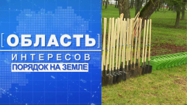 Мы задали тренд на чистоту и порядок на земле / Порядок на земле — область наших интересов!