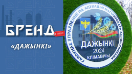 Как прошли «Дажынкі-2024» в Климовичах? / БОГАТЫЙ СТОЛ от сельчан! / Бьем РЕКОРДЫ! / Бренд