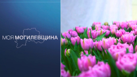 Моя Могилевщина // Праздник красок, красоты и хорошего настроения