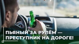Алкоголь и руль — несовместимы! Пьяный водитель сбил пешехода в Кличеве: что решил суд?