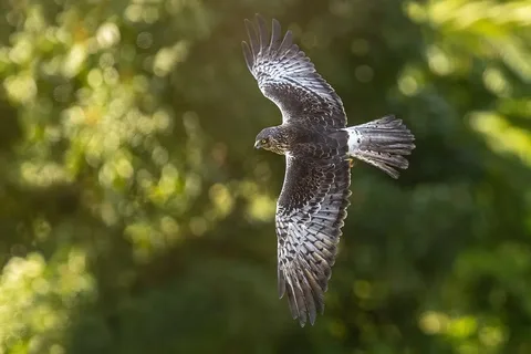 002651_802177..webp